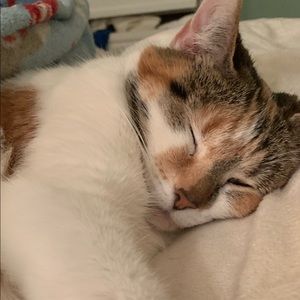 Meet your Posher, Jen